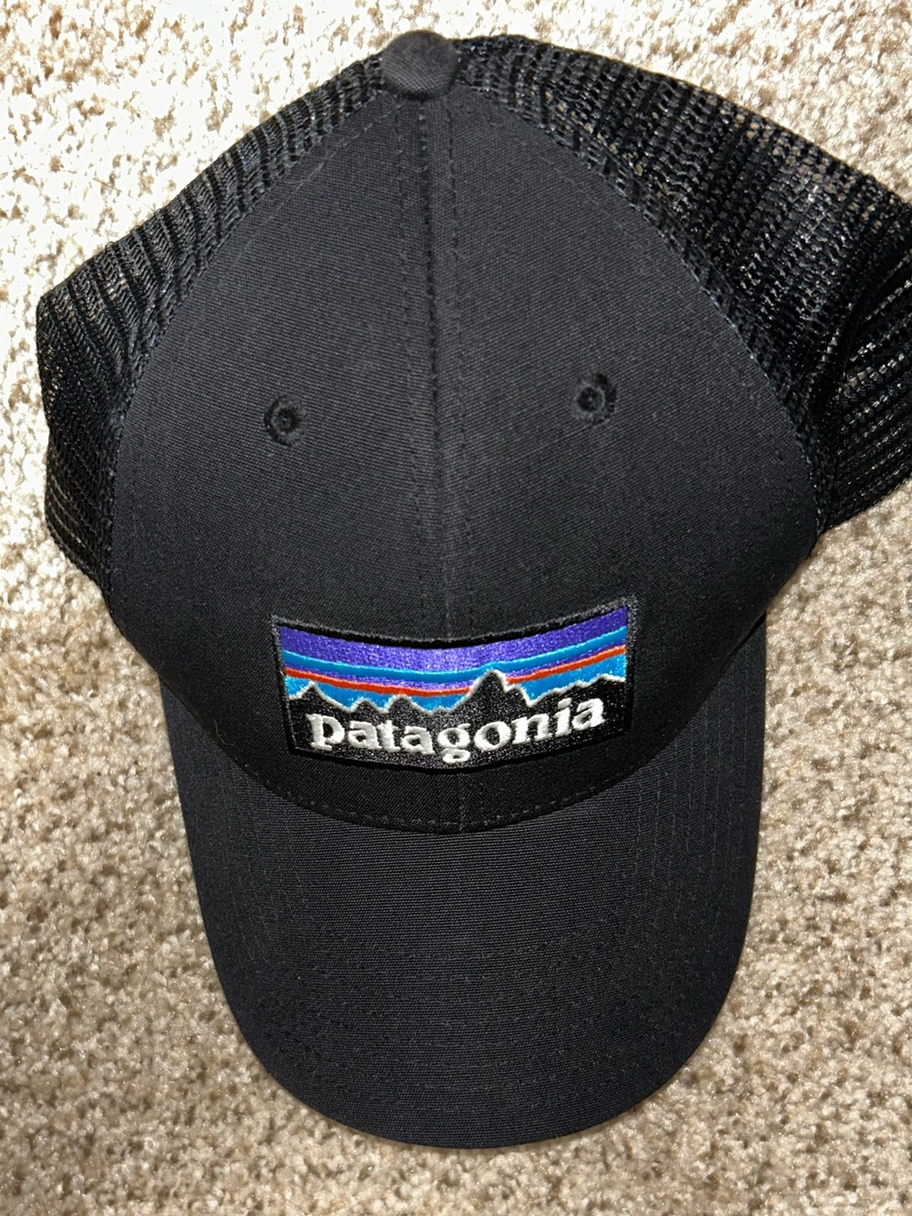 Patagonia cap